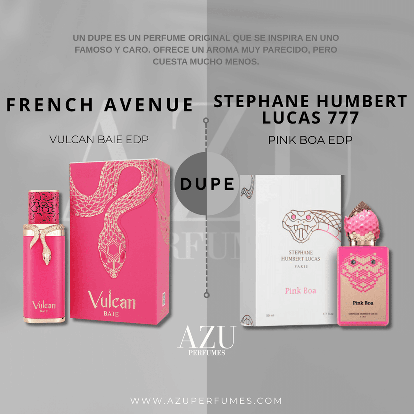 French Avenue Vulcan Baie EDP - Vista 2